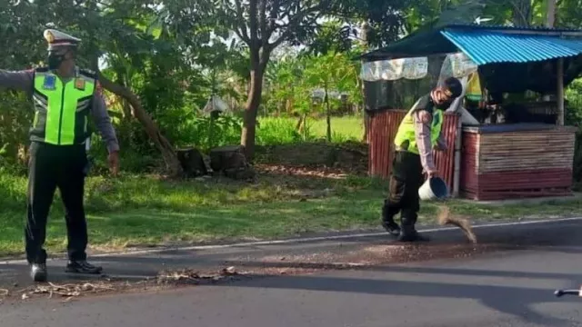 Viral Ceceran Oli Jalan Singaraja Gilimanuk Bali, Ini Aksi Polisi - GenPI.co BALI