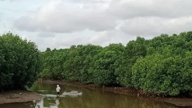 Peneliti BRIN Kadek Erosi: Hukum Adat Jaga Hutan Keramat Bali - GenPI.co BALI