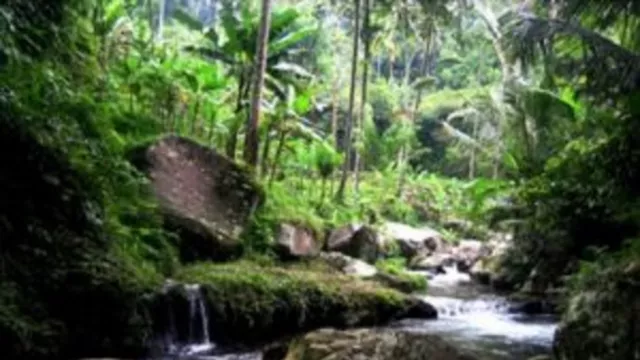 Lembah Sungai Petanu-Pakiresan Punya Jejak Peradaban Manusia Bali - GenPI.co BALI