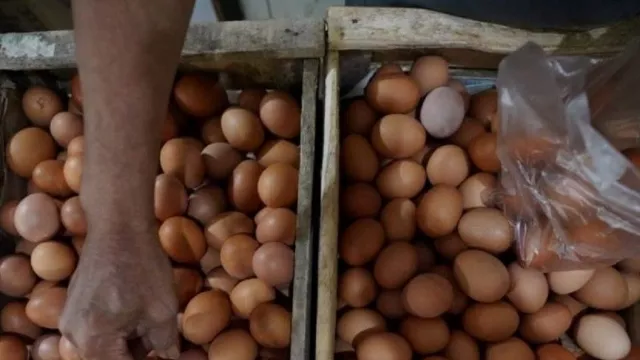 Harga Telur Naik, Disperindag Bali Sebut Biang Keroknya - GenPI.co BALI