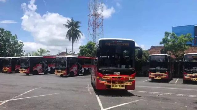 Libur Lebaran, Pengelola Trans Metro Dewata Siapkan Bus, Monkey Forest Favorit Turis - GenPI.co BALI