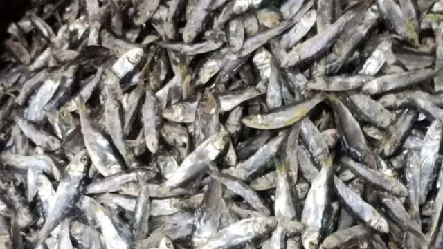 Waduh, Ini Risiko Terlalu Banyak Makan Ikan Asin - GenPI.co BANTEN