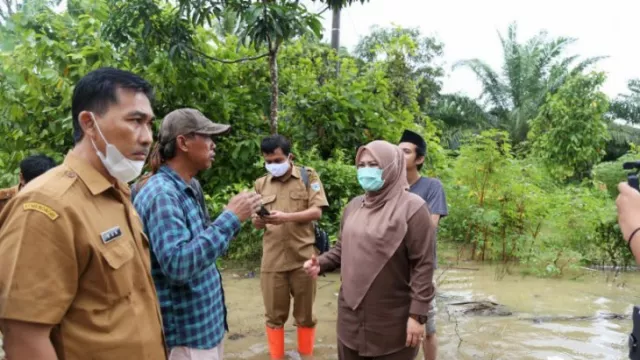 Pengungsi Kembali, BPBD Minta Warga Siaga Banjir Rob Susulan - GenPI.co BANTEN