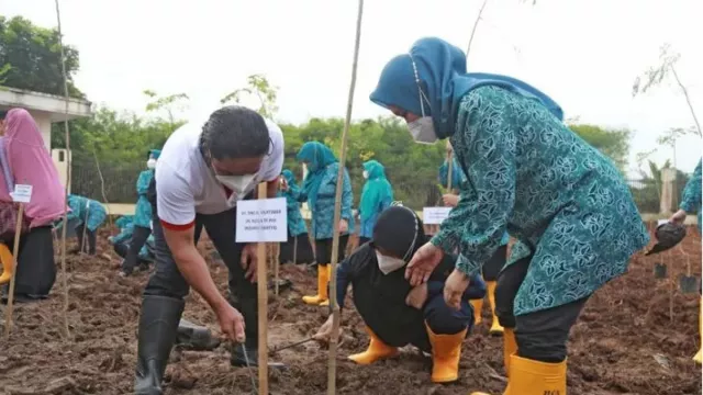 PKK Tanam Pohon Kelor, Pj Gubernur Banten: Sangat Baik - GenPI.co BANTEN