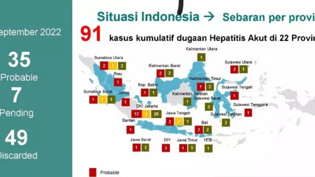 Hepatitis Misterius Mulai Merebak, 1 Pasien dari Banten - GenPI.co BANTEN