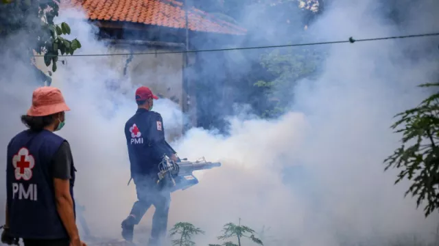 Ada Kasus Chikungunya, Warga Tangerang Diminta Waspada - GenPI.co BANTEN