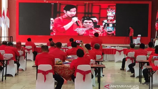 PDIP Usung Gibran di Solo, Bagaimana Nasib Bobby Nasution? - GenPI.co