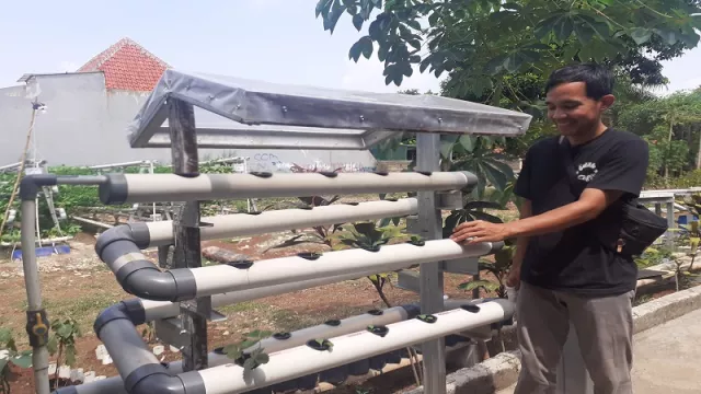 Yuk, Berkebun Hidroponik di Rumah - GenPI.co Yuk, Berkebun Hidroponik di Rumah - GenPI.co