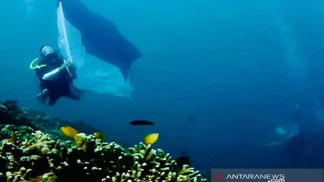 Keren, Konvoi Bendera Merah Putih di Perairan Raja Ampat - GenPI.co