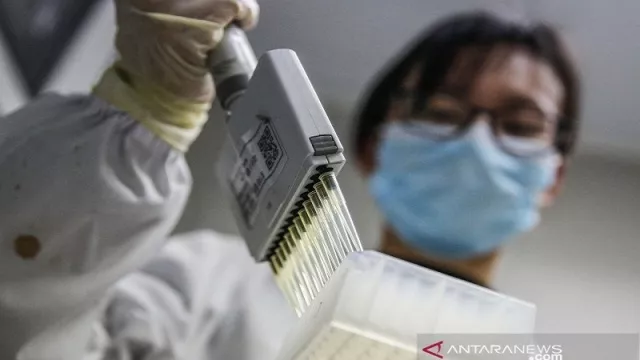 China Uji Klinis Vaksin Covid-19 kepada Serangga  - GenPI.co