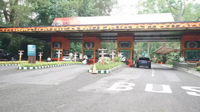 Yuk Liburan, Taman Safari Bogor Sudah Dibuka - GenPI.co
