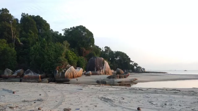 Keindahan Pantai Singgiling Jadi Tempat Masuknya Narkoba - GenPI.co