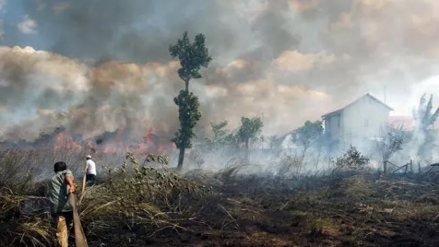 Miris, 99 Persen Kebakaran Hutan di Indonesia Ternyata Ulah Kita - GenPI.co