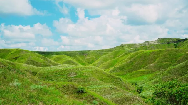 Bukit Tenau, Savana Indah di Timur Sumba - GenPI.co