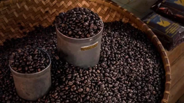 Hari Kopi Dunia, Yuk Tengok 3 Kopi Unggulan dari Indonesia Timur - GenPI.co