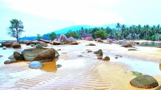 Pantai Temajuk, Destinasi Liburan Ngehits dengan Segudang Suguhan - GenPI.co