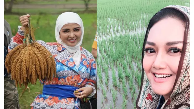 Adu Gaya Bella Saphira-Bella Shofie di Sawah, Siapa Lebih Keren? - GenPI.co