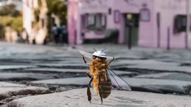 Tak Cuma Manusia, Influencer Lebah Ini Cari Dana Buat Spesiesnya - GenPI.co