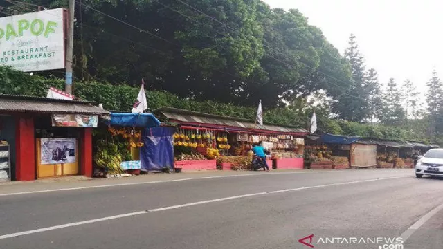 Kawin Kontrak di Puncak, Uang Mahar Paling Murah Rp 5 Juta - GenPI.co