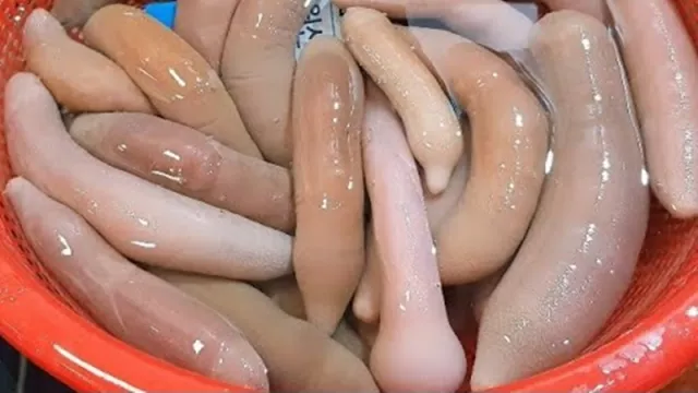 Ikan Penis jadi Makanan Lezat di Korea, Mau Coba Nggak Ya? - GenPI.co