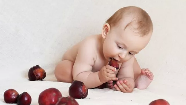Bunda, Ini 5 Makanan Terbaik untuk Mencerdaskan Otak Anak - GenPI.co Bunda, Ini 5 Makanan Terbaik untuk Mencerdaskan Otak Anak - GenPI.co