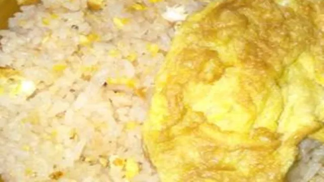 Darurat Lapar Tengah Malam, Buat Nasi Goreng Telur Saja - GenPI.co