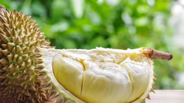 Kurangi Aroma dan Mual setelah Makan Durian dengan 4 Hal ini - GenPI.co