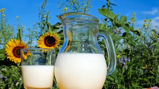 Susu vs Yoghurt Sama-sama Bikin Sehat, Tapi Kamu Pilih Mana? - GenPI.co