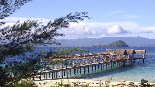 Kisah Dermaga Kayu Pulau Saronde yang Romantis - GenPI.co