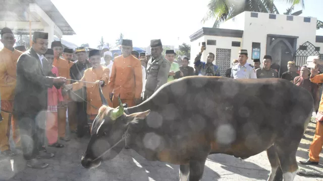 Idul Adha 2019, Kabupaten Gorontalo Sembelih 2704 Hewan Kurban - GenPI.co
