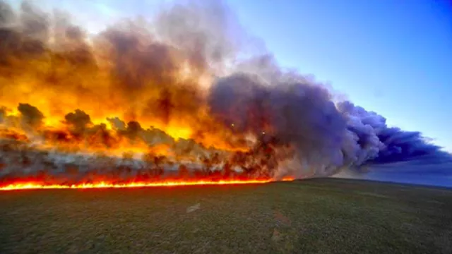 Pesawat Perang Brasil Dikerahkan Padamkan Api Kebakaran Amazon - GenPI.co