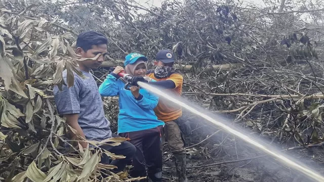 Ini 2 Penyebab Kebakaran Hutan Setiap Tahun di Indonesia - GenPI.co