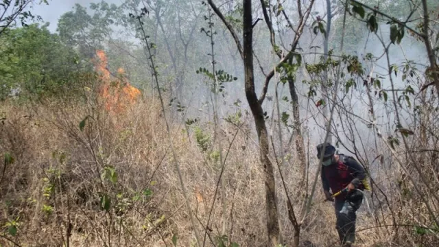 Duh, Kawasan Hutan Gunung Ciremai Terbakar - GenPI.co