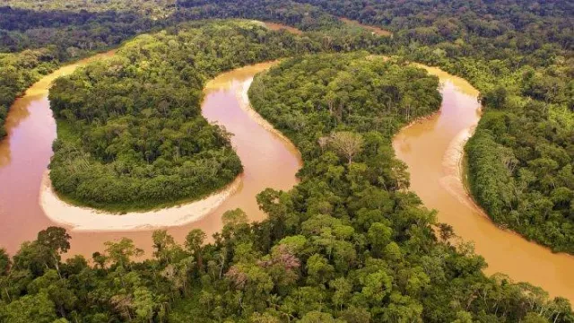 5 Fakta Seputar Hutan Amazon, Paru-paru Terbesar Dunia - GenPI.co