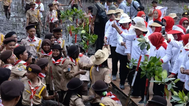 Kunjungi Batam, Iriana Joko Widodo Tanam Mangrove - GenPI.co