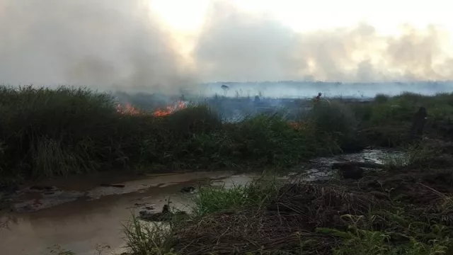 Edan, Seorang PNS Pelaku Pembakar Lahan Hutan - GenPI.co