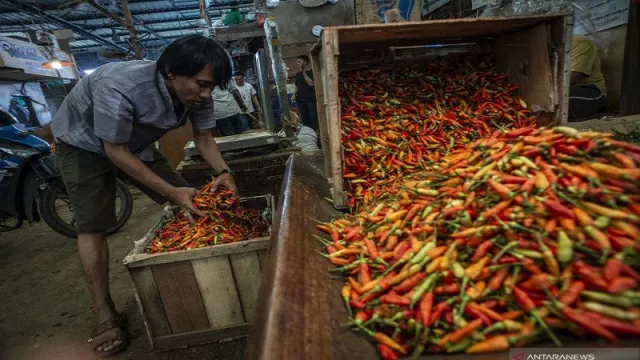 Lapor, Pak Anies! Harga Cabai di DKI Bikin Pedas - GenPI.co Lapor, Pak Anies! Harga Cabai di DKI Bikin Pedas - GenPI.co