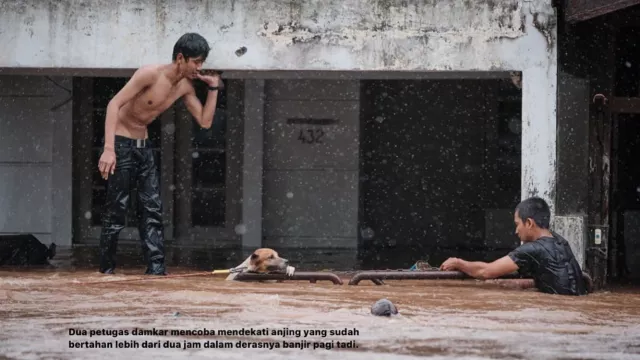 Mengharukan, Seekor Anjing Diselamatkan dari Terjangan Banjir - GenPI.co