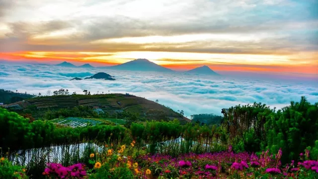 Surga Berselimut Jingga di Magelang, Indahnya Bikin Lupa Pulang - GenPI.co