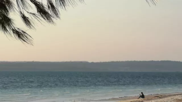 Kawanan Duyung di Pantai ini, Konon Dulunya adalah Manusia - GenPI.co