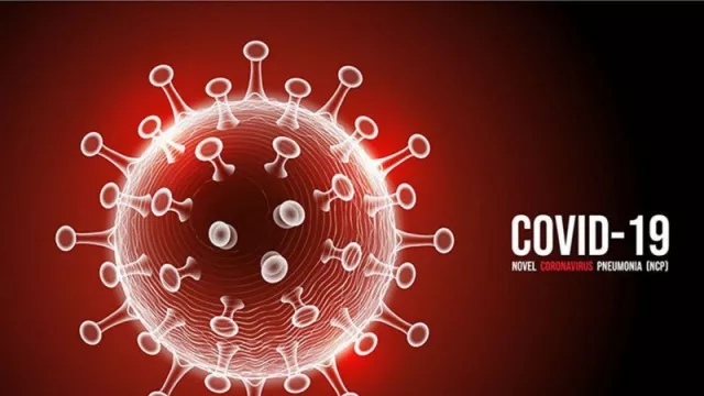 Polandia Bikin Obat COVID-19 dari Darah Pasien Sembuh - GenPI.co