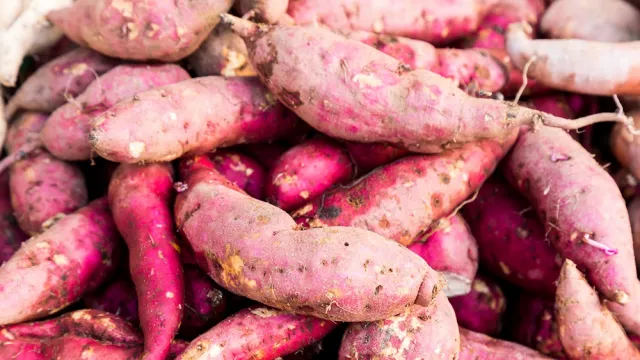 Ubi Talas, Makanan Super Pencegah Kanker dan Penyakit Jantung - GenPI.co Ubi Talas, Makanan Super Pencegah Kanker dan Penyakit Jantung - GenPI.co