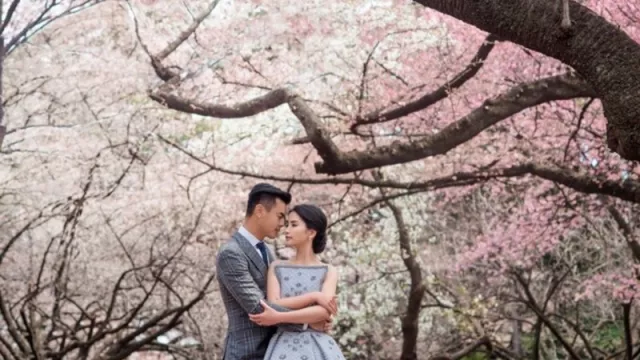 Prewedding di Antara Keindahan Bunga Sakura Ala Jepang, Yuk Sini! - GenPI.co