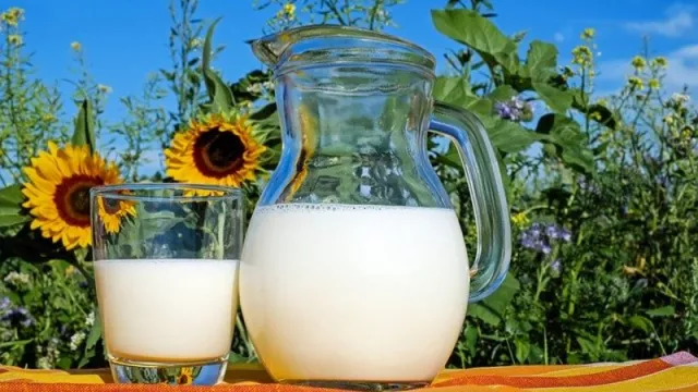 Simak! Perbedaan Susu Ibu Hamil dengan Susu Sapi - GenPI.co