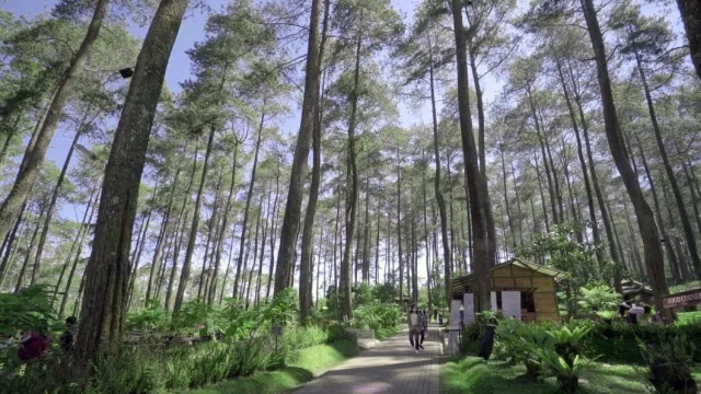 3 Lokasi Wisata Bandung Terbaik untuk Wedding Forest - GenPI.co