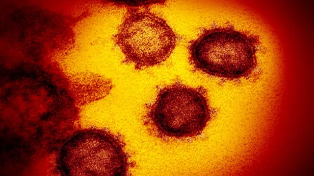 Telan Banyak Korban, Begini Ternyata Penampakan Asli Virus Corona - GenPI.co