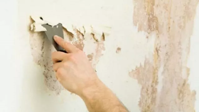 3 Tips Sederhana Mencegah Dinding Rumah Berjamur - GenPI.co