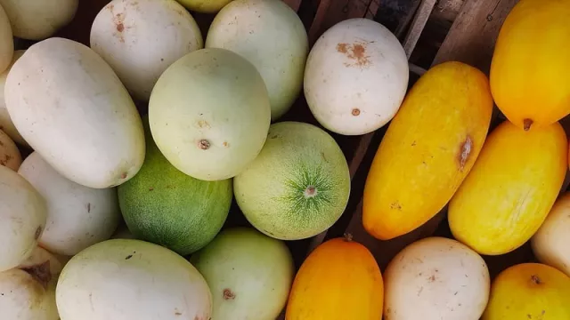 5 Manfaat Konsumsi Es Mentimun Suri saat Berbuka Puasa - GenPI.co