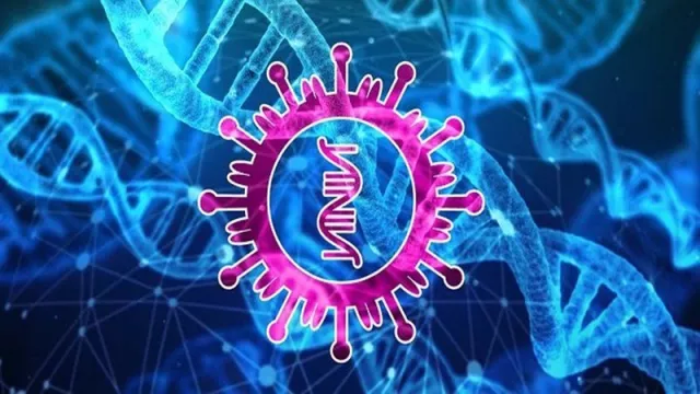 Terungkap 7 Kode Genom Corona, Bisa Segera Hasilkan Vaksin Nih - GenPI.co