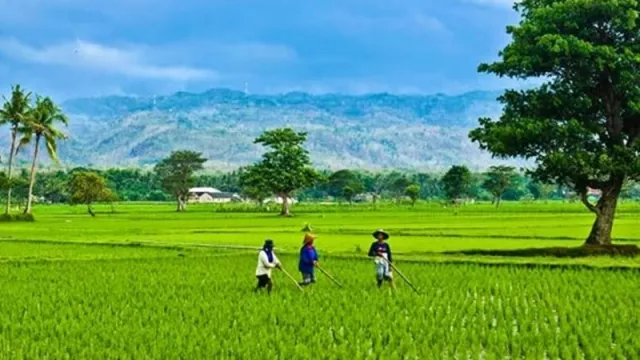 Siap-siap Melongo Lihat Indahnya Desa Ya, Kemendes Gandeng PFN Lo - GenPI.co